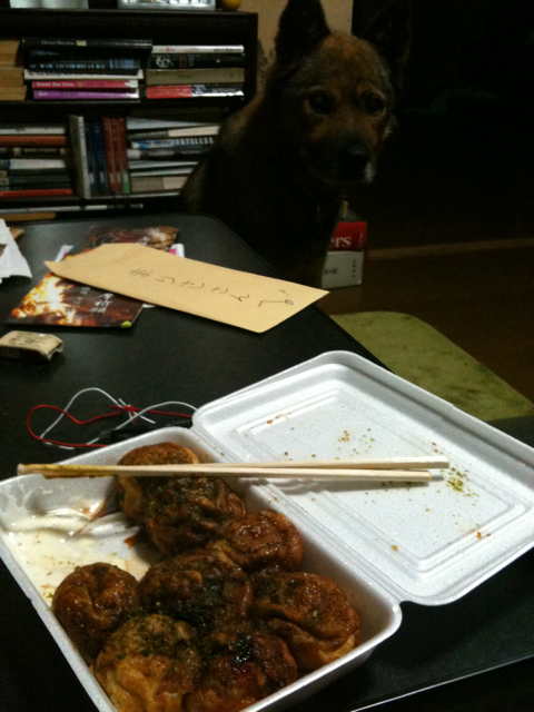 today's food parcel is brought to you (well, me) by the anmitsu princess- takoyaki with kimchee in